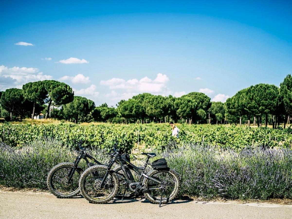 Abadia Retuerta Ledomaine Hotel Sardon De Duero Ngoại thất bức ảnh
