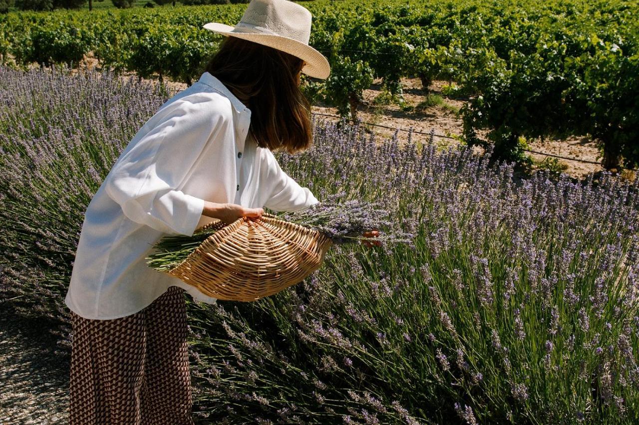 Abadia Retuerta Ledomaine Hotel Sardon De Duero Ngoại thất bức ảnh